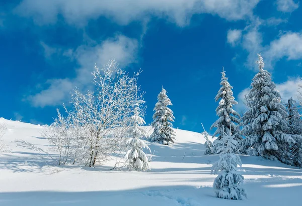 Hiver montagne paysage enneigé — Photo