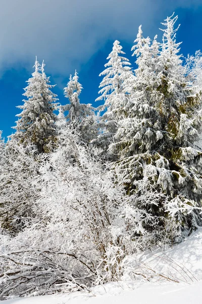 冬の雪に覆われた山の風景 — ストック写真