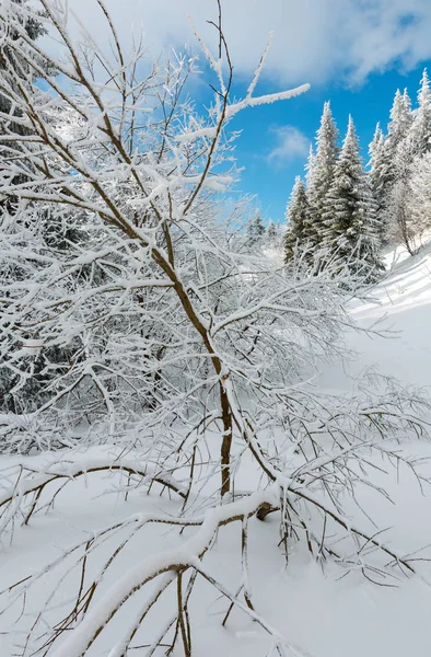 冬の雪に覆われた山の風景 — ストック写真