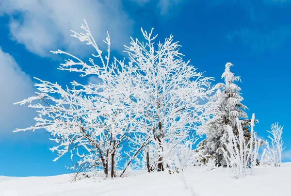 Winter mountain snowy landscape — Stock Photo, Image