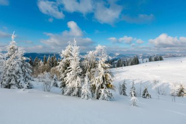 Kış karlı dağ manzarası