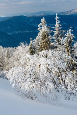Kış karlı dağ manzarası
