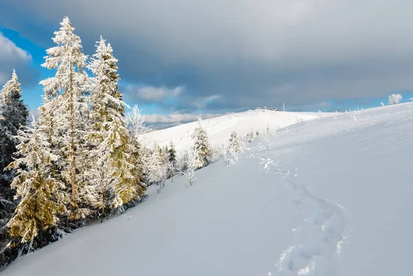 冬の雪に覆われた山の風景 — ストック写真