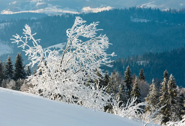 겨울 설 산 풍경 — 스톡 사진