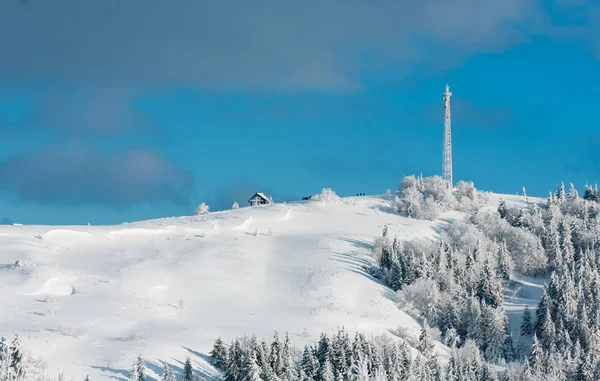 Winter hoar frosting trees,  tower and snowdrifts (Carpathian mo