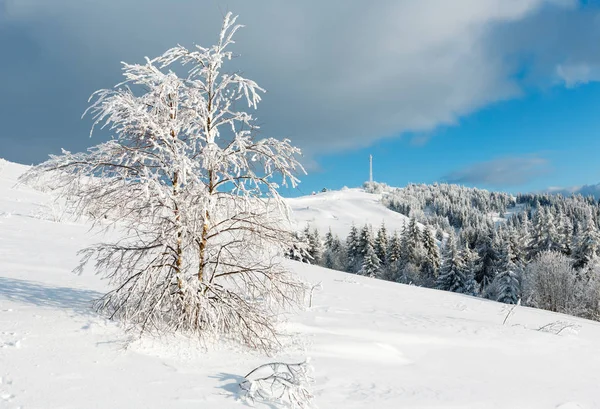 Kış hoar ağaçlar, kule ve snowdrifts (Karpat mo — Stok fotoğraf