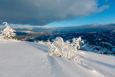 Kış karlı dağ manzarası