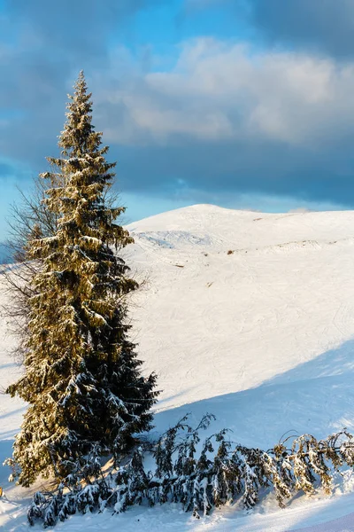 Inverno sera montagna paesaggio innevato — Foto Stock