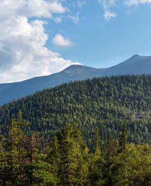 Yaz Syvulja dağ manzarası (Karpat, Ukrayna). 