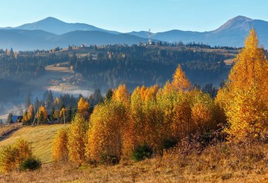 Autumn Carpathian village, Ukraine. clipart