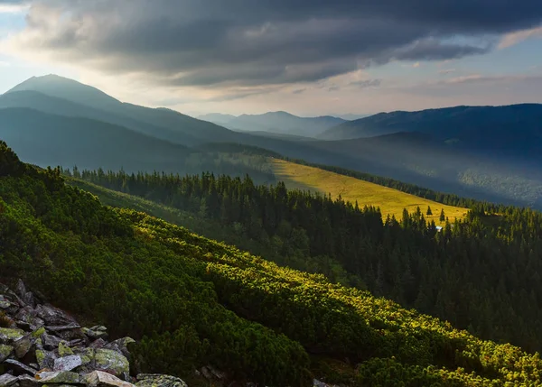 Nyári Kárpát-hegy, Ukrajna — Stock Fotó