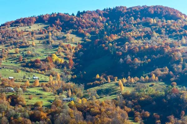 Осенние Карпаты, Украина — стоковое фото