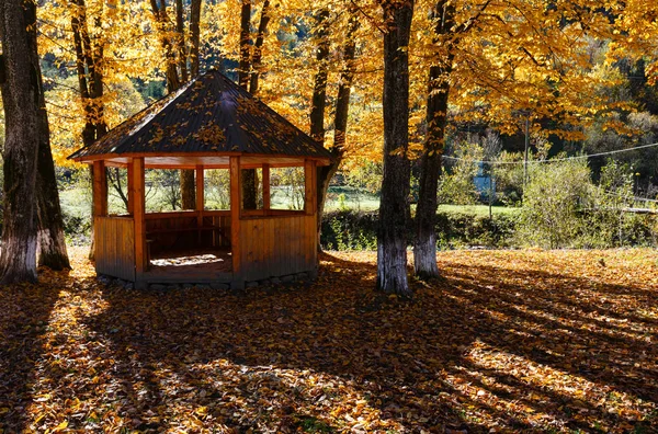秋天的凉亭在河上的山山毛榉阳光公园 — 图库照片