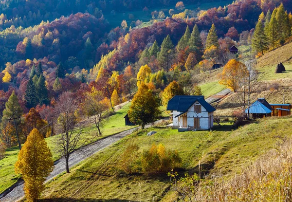 Camino secundario sucio en otoño Montaña de los Cárpatos, Ucrania — Foto de Stock