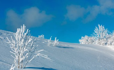 Kış karlı dağ manzarası