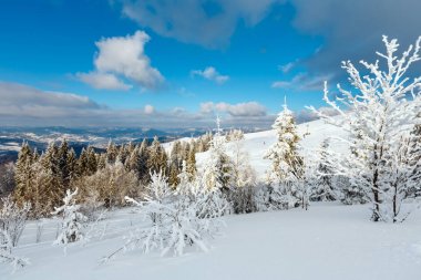 Kış karlı dağ manzarası