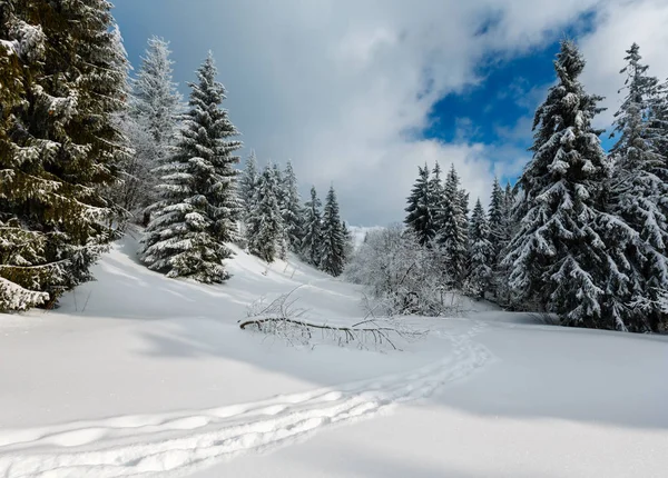 Hiver montagne paysage enneigé — Photo