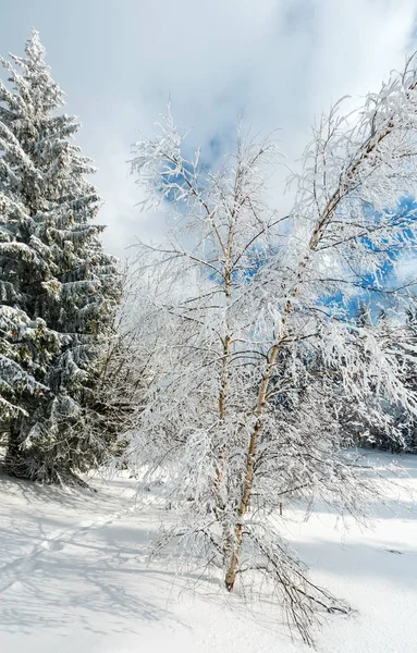 冬の雪に覆われた山の風景 — ストック写真