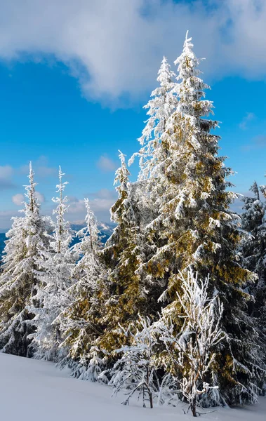 Zima góry snowy krajobraz — Zdjęcie stockowe
