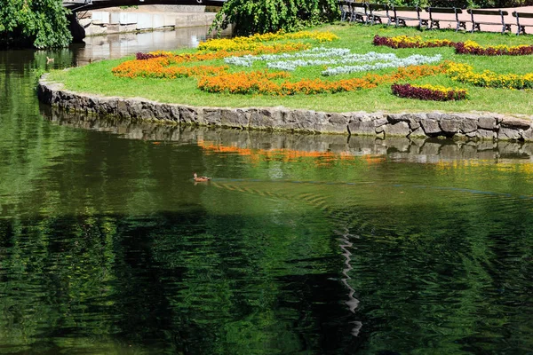 Parc de vară, lac și pat de flori pe gazon . — Fotografie, imagine de stoc
