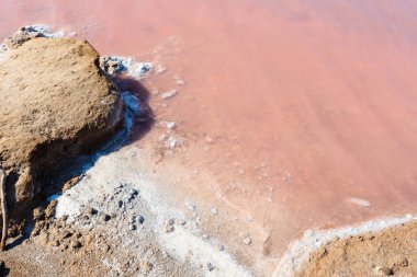 Pembe tuzlu Syvash Gölü, Ukrayna