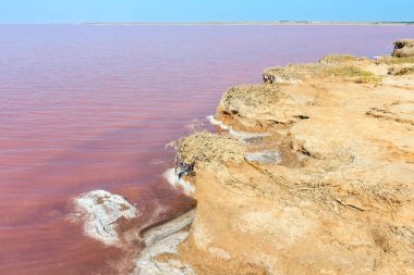 Pembe tuzlu Syvash Gölü, Ukrayna