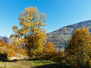 Sonbahar Karpat Dağları, Ukrayna