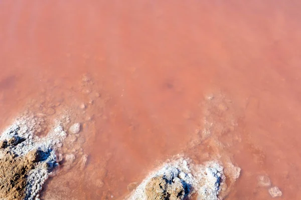 Pink salty Syvash Lake, Ukraine — Stock Photo, Image