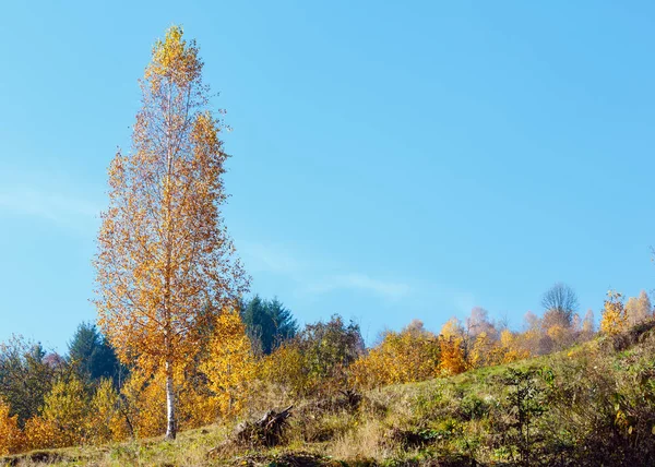 Hösten Karpaterna, Ukraina — Stockfoto