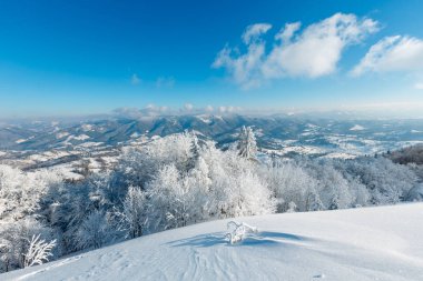 Kış karlı dağ manzarası