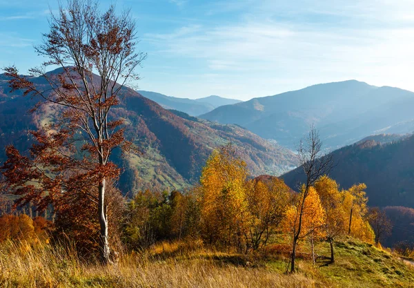 Outono montanha dos Cárpatos, Ucrânia — Fotografia de Stock