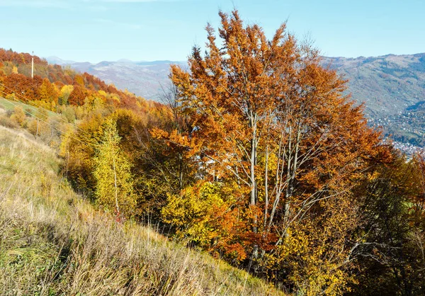 Осенняя Карпатская гора, Рахов, Украина — стоковое фото