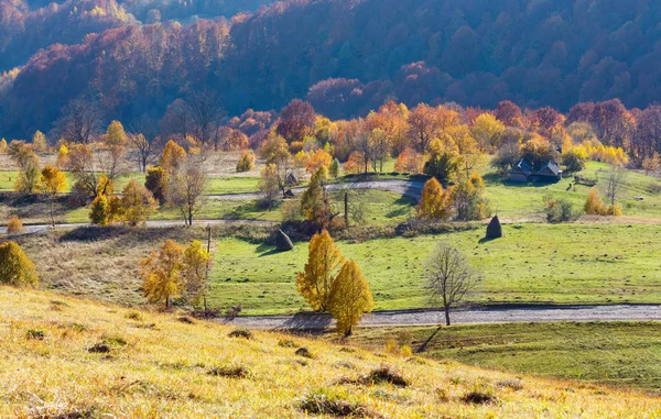 Strada secondaria sporca in autunno Montagna dei Carpazi, Ucraina — Foto Stock