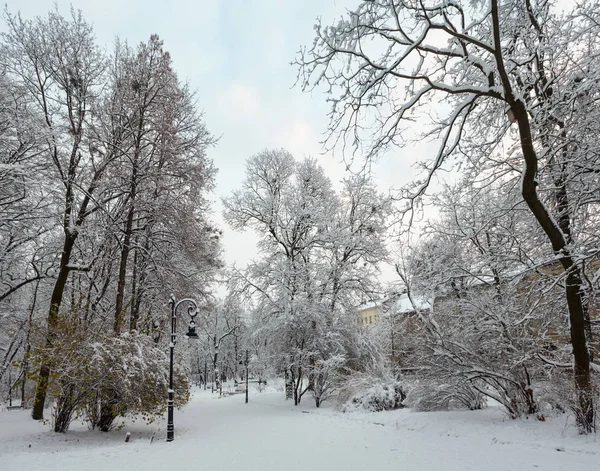 Winterpark in der Stadt Lwiw, Ukraine — Stockfoto