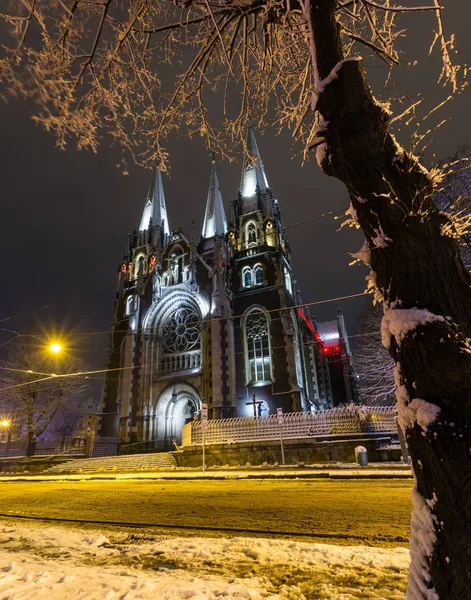 Church of St. Olha and Elizabeth in night winter Lviv city, Ukra — Stock Photo, Image