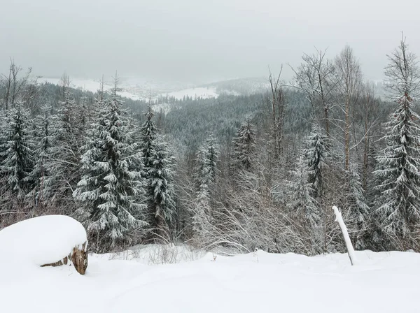 De manhã cedo inverno paisagem de montanha — Fotografia de Stock