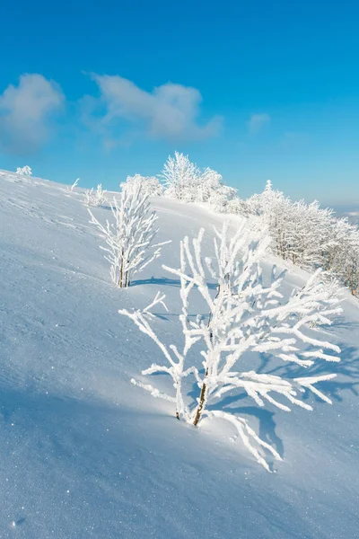 Winter schneebedeckte Berglandschaft — Stockfoto