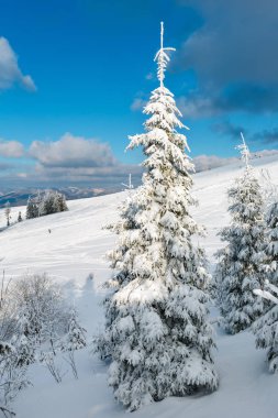 Kış karlı dağ manzarası
