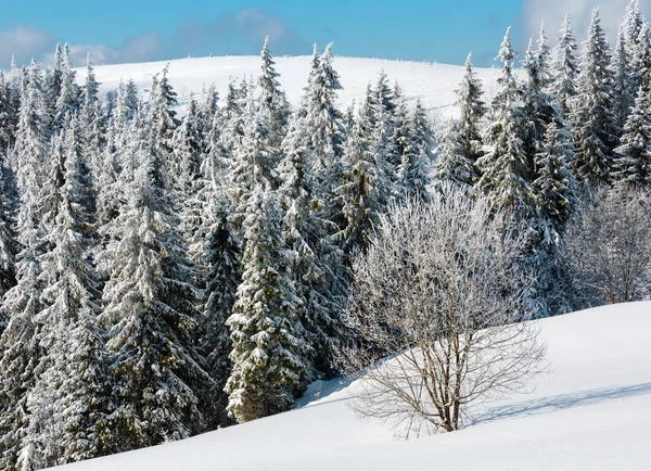 冬天山下雪的风景 — 图库照片