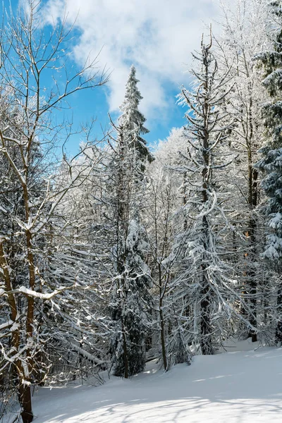 Téli havas hegyi táj — Stock Fotó