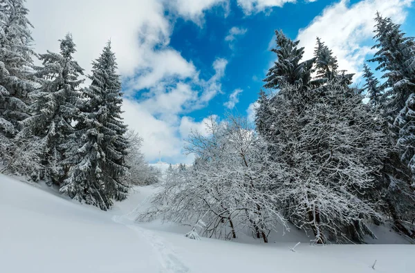 Inverno montagna innevata paesaggio — Foto Stock