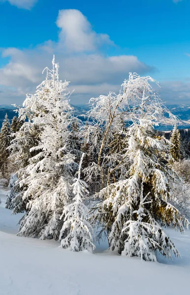 Winter mountain snowy landscape — Stock Photo, Image