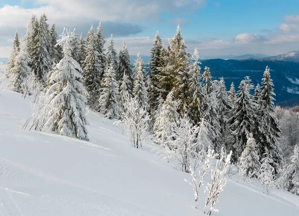 Invierno montaña nevado paisaje —  Fotos de Stock