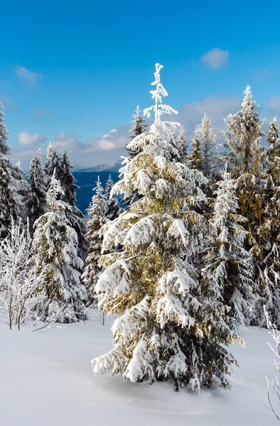 冬天山下雪的风景 — 图库照片