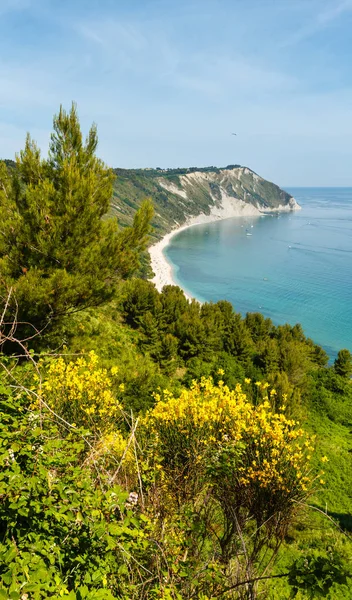 Zomer Adriatische Zee Mezzavalle strand — Stockfoto