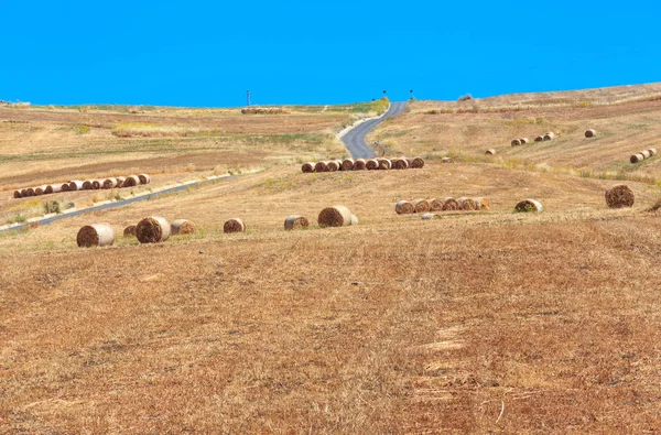 Sicília verão agricultura rural, Itália — Fotografia de Stock