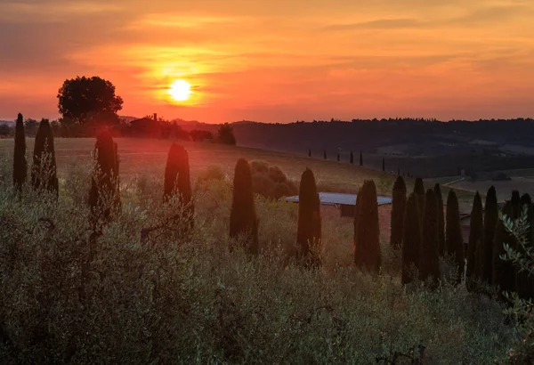 Tuscany zonsopgang platteland, Italië — Stockfoto