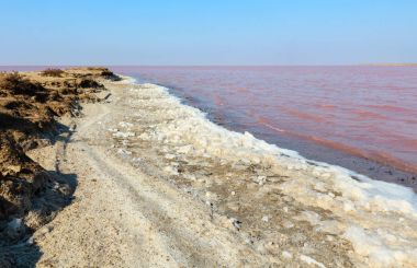 Pembe tuzlu Syvash Gölü, Ukrayna