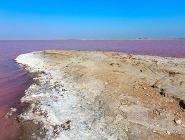 Pembe tuzlu Syvash Gölü, Ukrayna