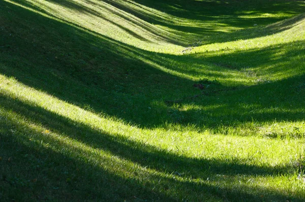 Prato verde erba con ombre . — Foto Stock